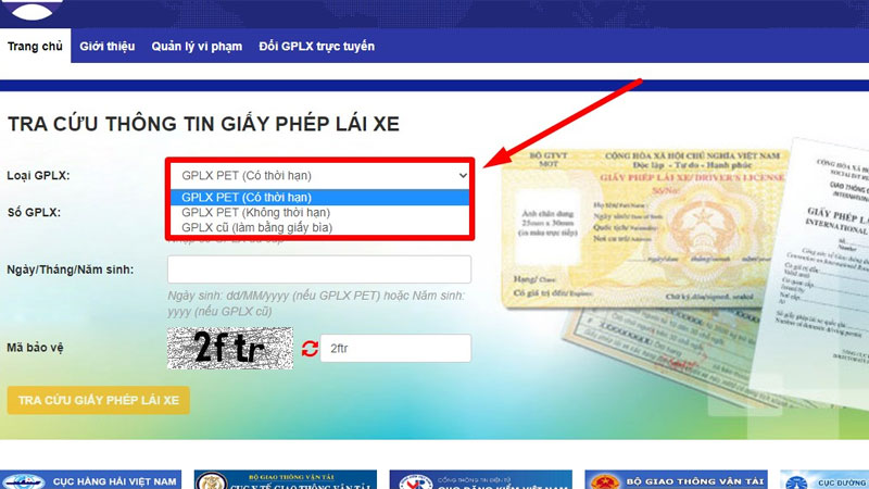 tra-cuu-giay-phep-lai-xe-8