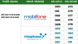 078 là mạng gì? Mua ở đâu và có ý nghĩa phong thủy như thế nào?