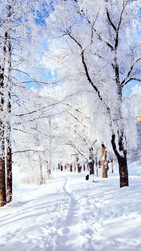 Hình nền : thiên nhiên, tuyết, lạnh 5809x3862 - msmsine - 1205449 - Hình nền  đẹp hd - WallHere