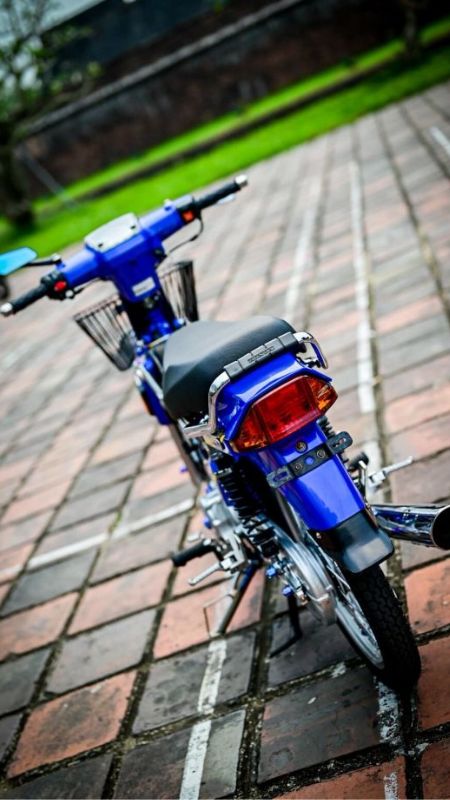 Hình nền Honda Dream - 4K | Chủ đề Cổ Điển | Laginate | Vintage motorcycle,  Motorcycle, Harley davidson chopper