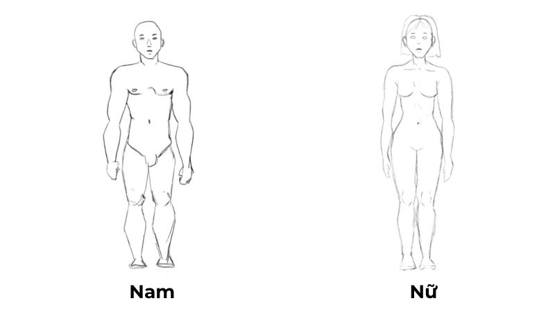 ve-dang-nguoi-mach-ban-8-buoc-don-gian-nhung-cho-hinh-anh-an-tuong-nhat-7