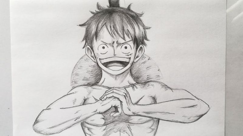 ve-luffy-37