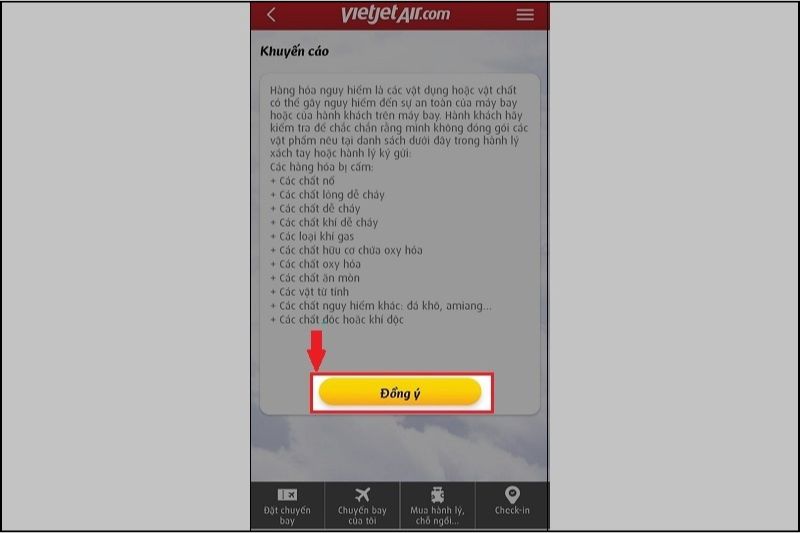check-in-online-vietjet-14