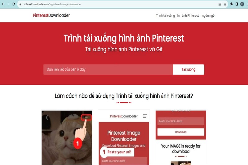 tai-video-pinterest-5