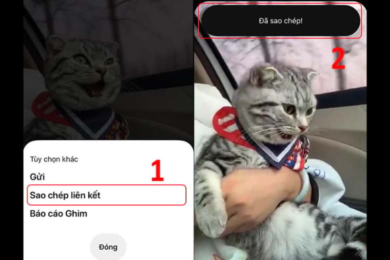 tai-video-pinterest-8