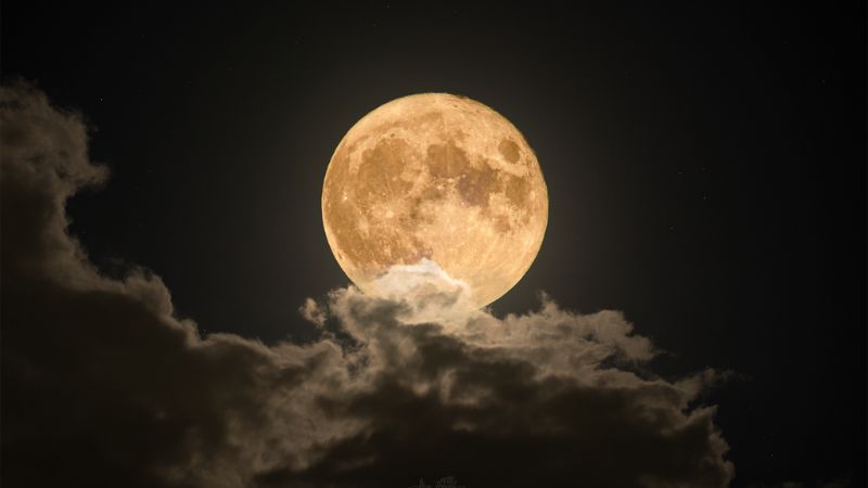 tet-trung-thu-la-gi-trung-thu-nam-2023-vao-ngay-nao-11