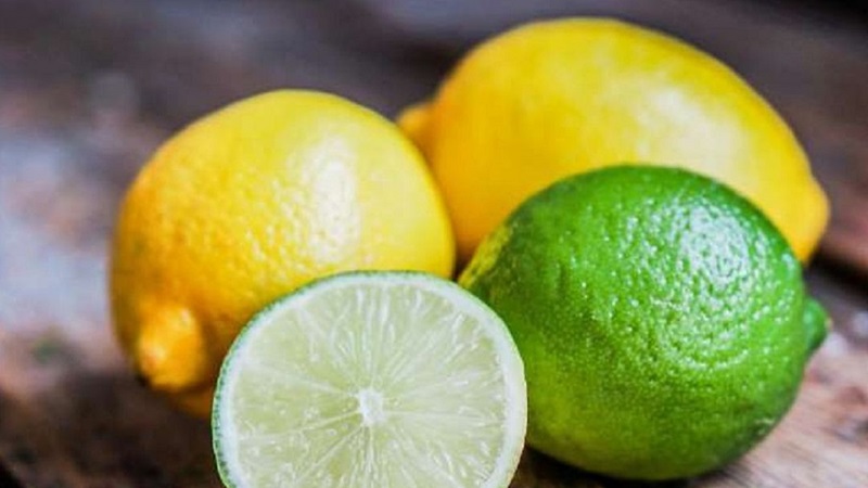 cach-diet-kien-phuong-phap-3