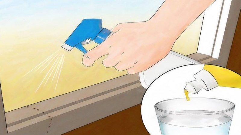 cach-diet-kien-phuong-phap-9