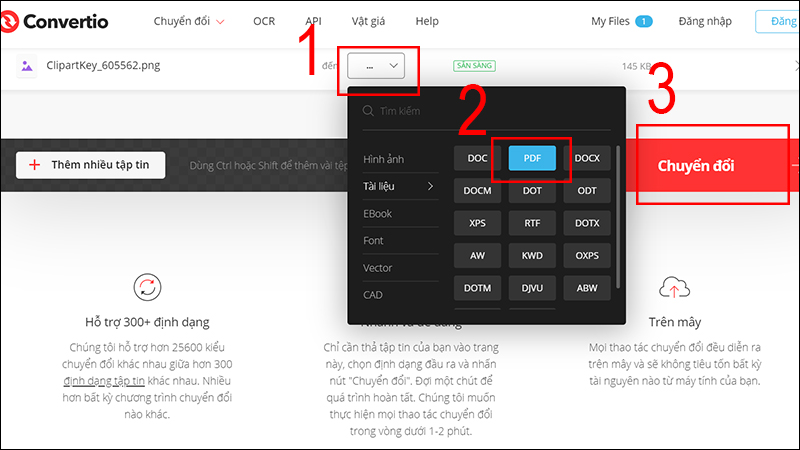 png-la-gi-chuyen-duoi-huong-dan-pdf-2
