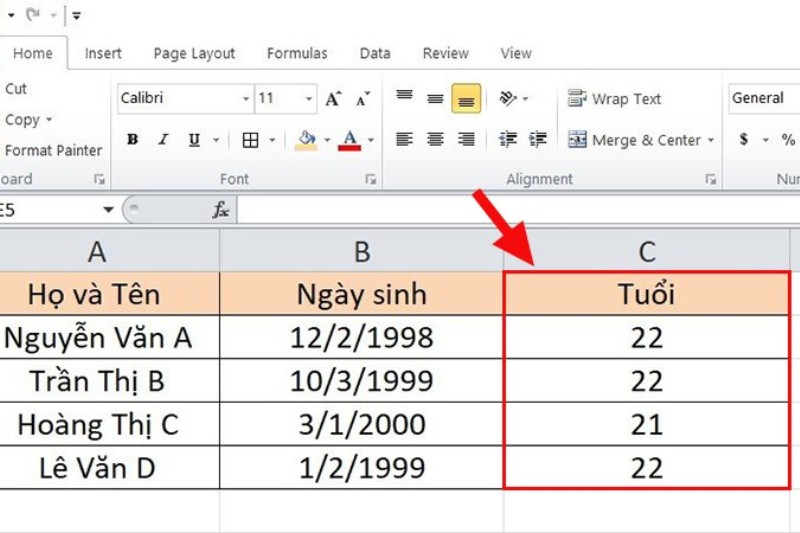 tinh-tuoi-trong-excel-8