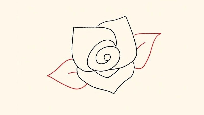 Tô màu bông hồng gai - Trang Tô Màu Cho Bé