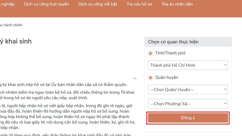 lam-giay-khai-sinh-online-11