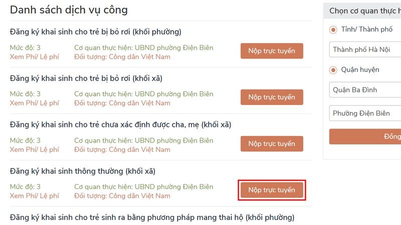 lam-giay-khai-sinh-online-13