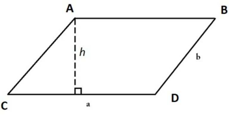 dien-tich-hinh-binh-hanh
