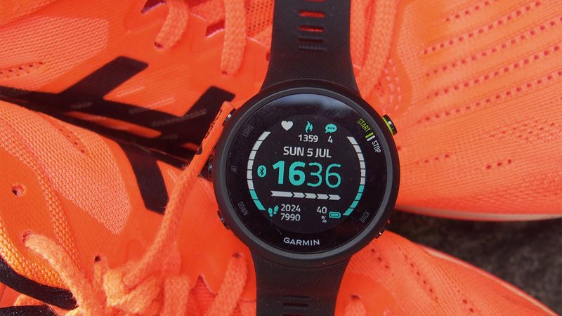 garmin-forerunner-45-11