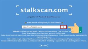 Stalkscan Stalk là gì? Vì sao trên mạng xã hội xuất hiện nhiều từ Stalk?