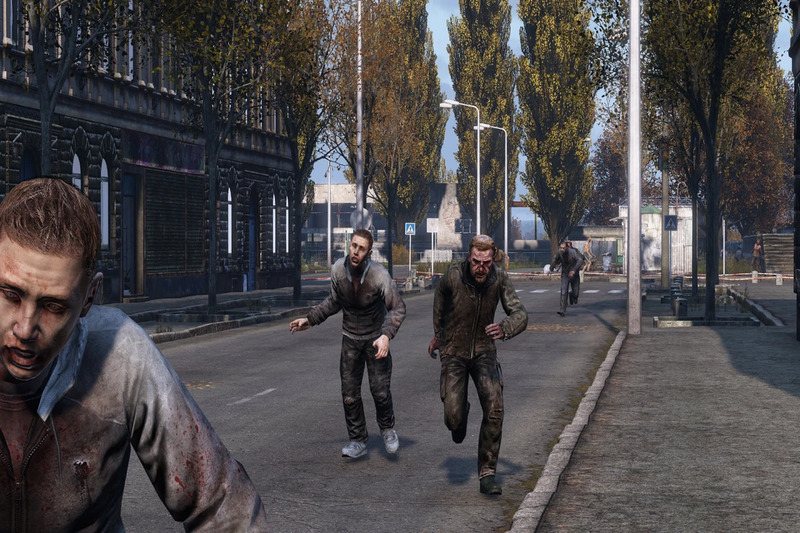 dayz-5