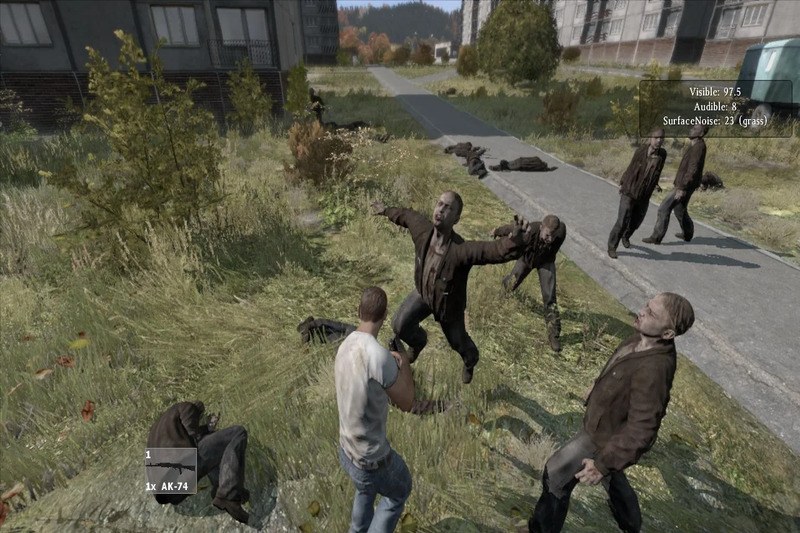 dayz-9