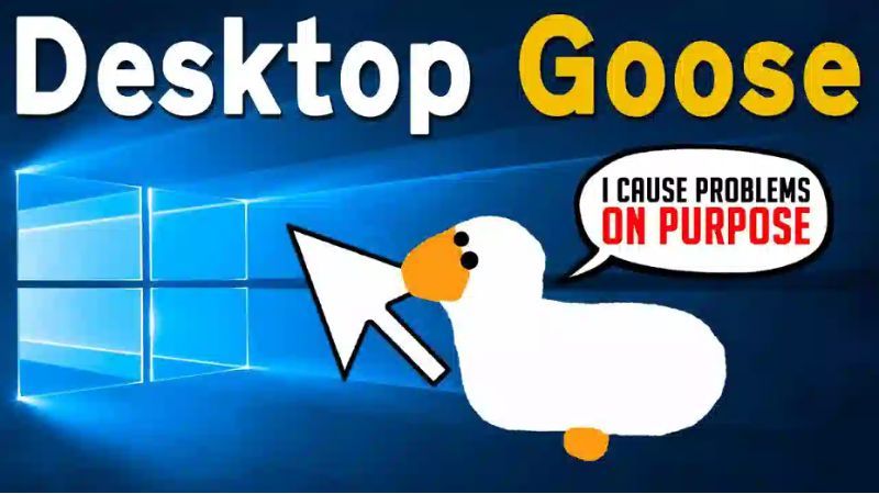 goose-desktop-1