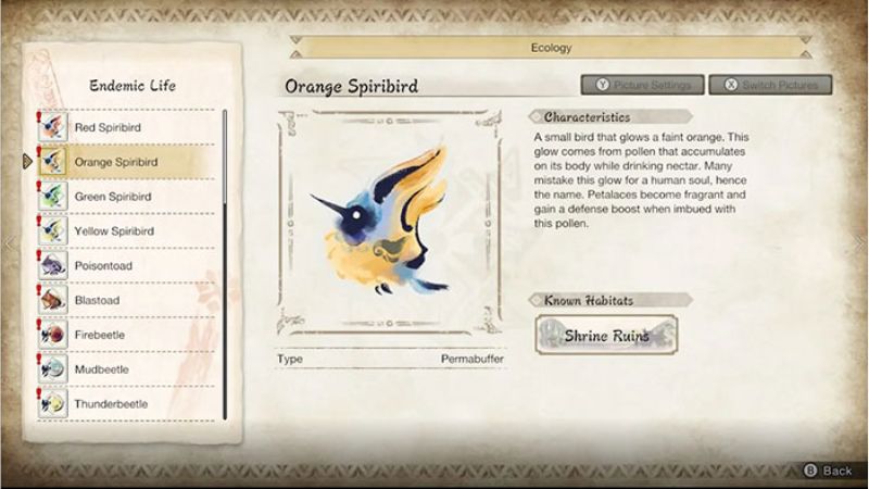 monster-hunter-rise-13