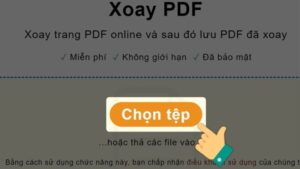 Cách xoay file, trang PDF khi bị ngược và lưu lại nhanh chóng