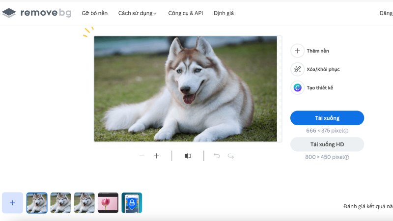 remove-xoa-phong-nen-8