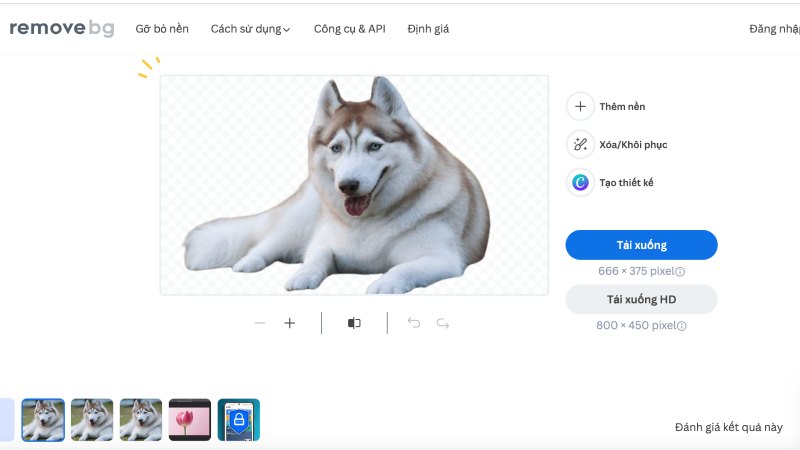 remove-xoa-phong-nen-9