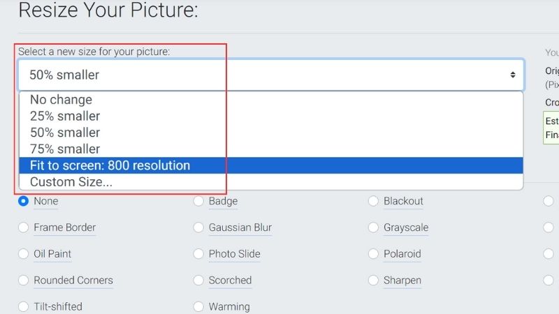 resize-anh-online-9
