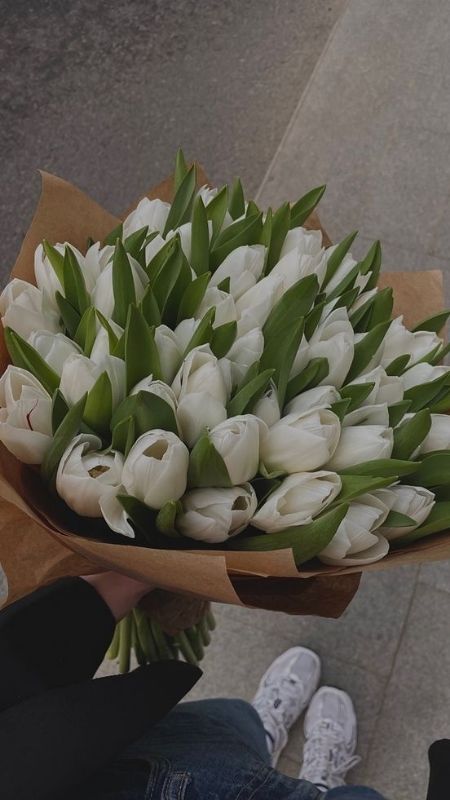 anh-hoa-Tulip-23
