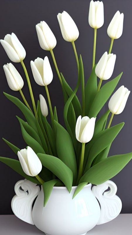 anh-hoa-Tulip-35