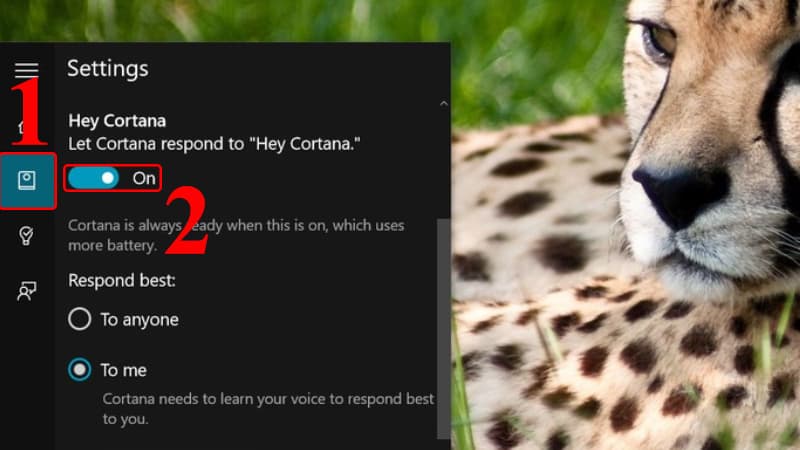 Cortana-15