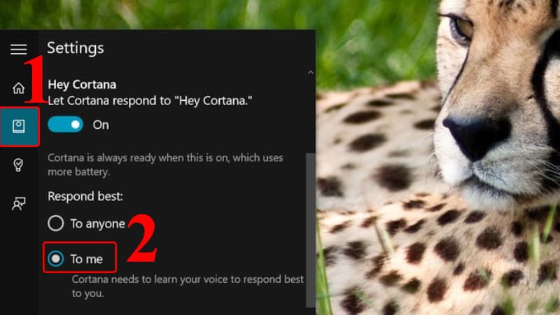 Cortana-25