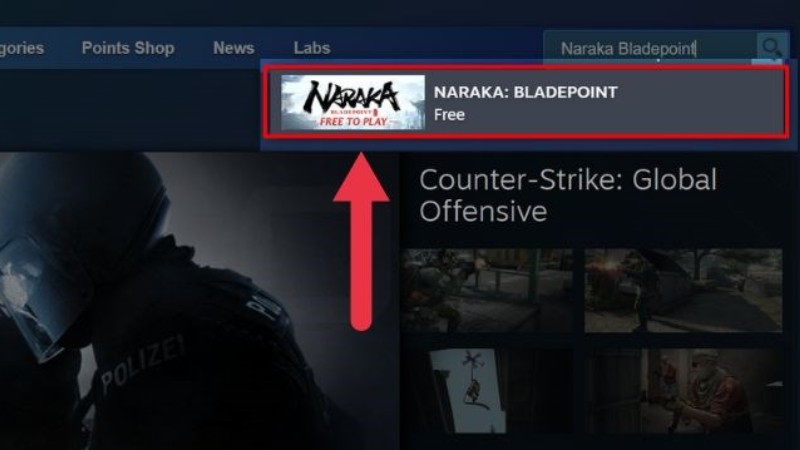 Naraka-11