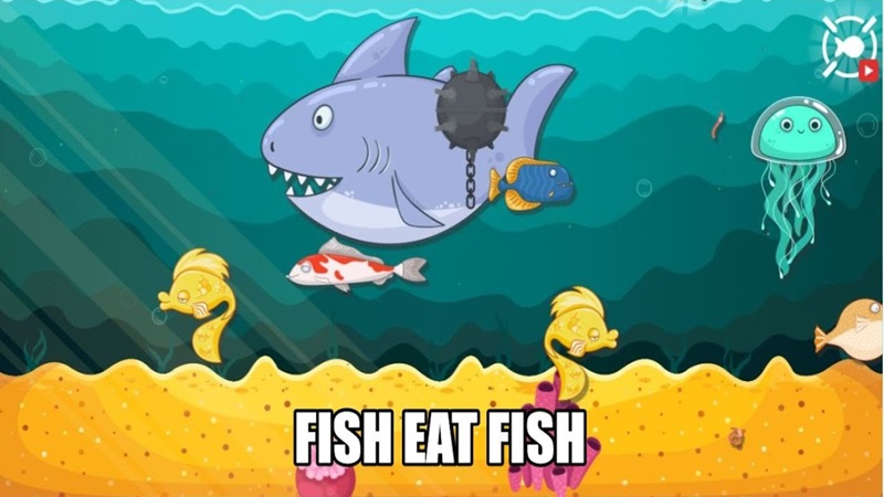 fish-eat-fish-5