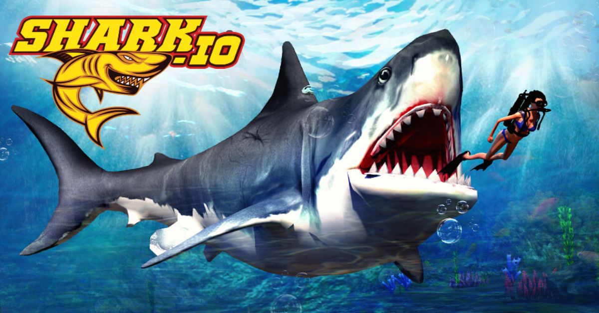 shark-io