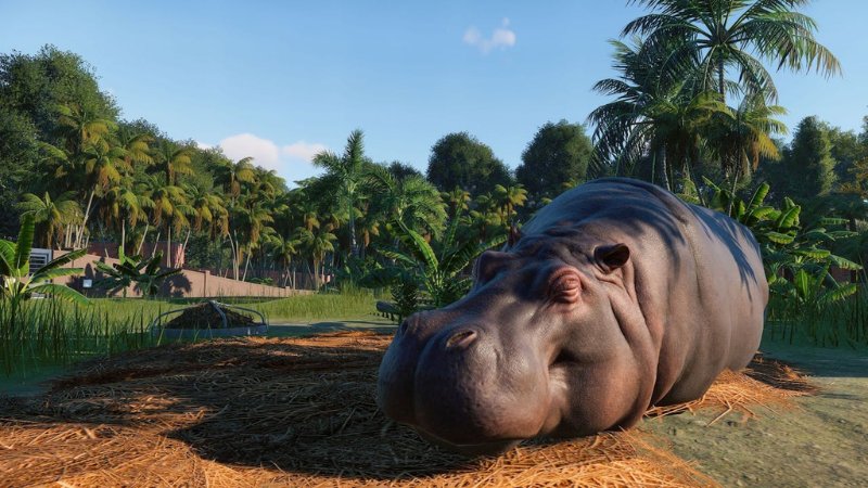 Planet-Zoo-4