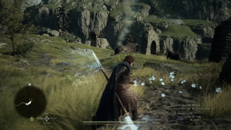 Dragon-Dogma-2-9