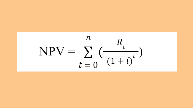 npv-la-gi-4