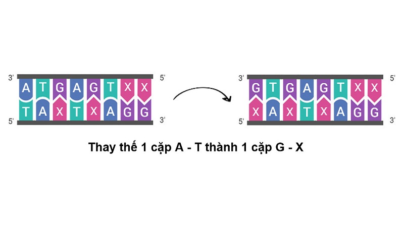 dot-bien-gen-la-gi-3