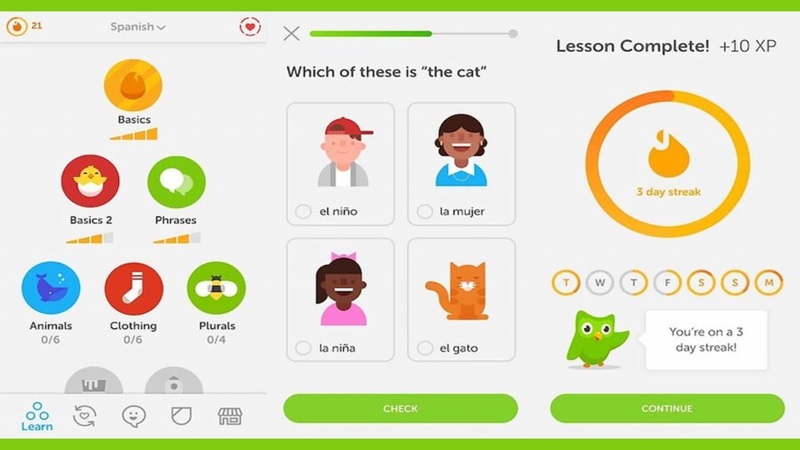 duolingo-8