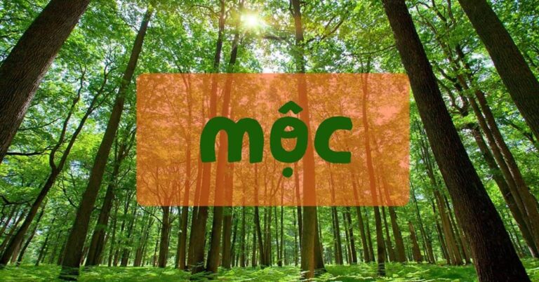 mang-moc-hop-mau-gi-thumb