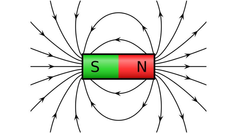 tu-truong-la-gi-1