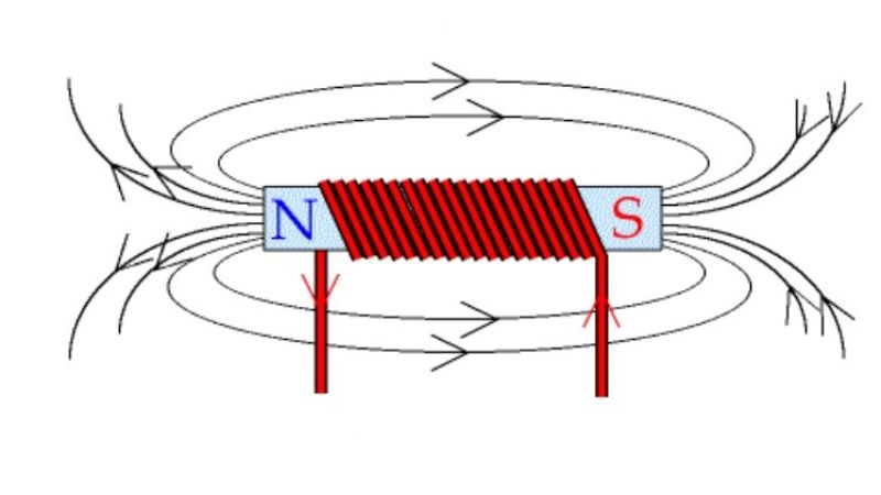 tu-truong-la-gi-11