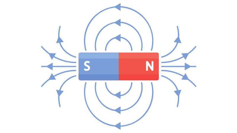 tu-truong-la-gi-2