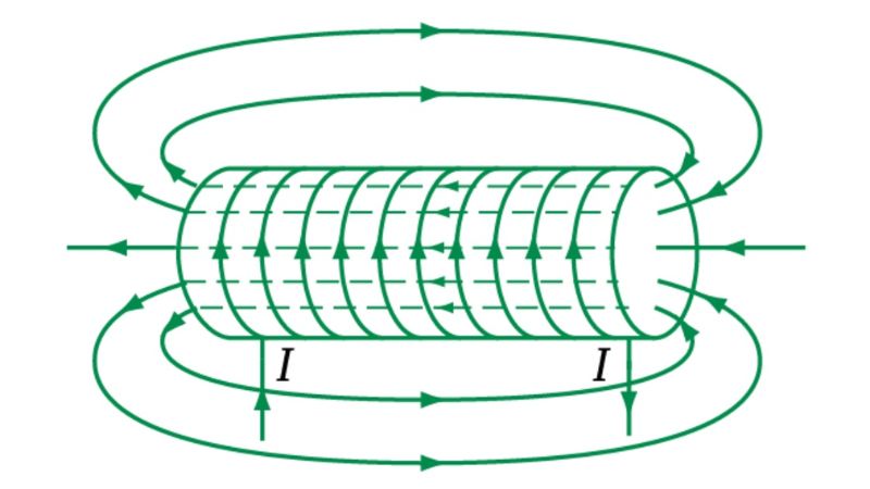 tu-truong-la-gi-24