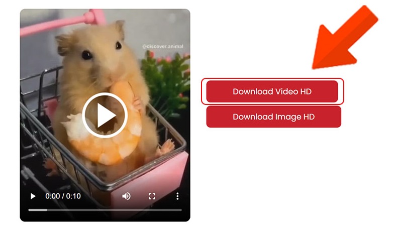 Cách lưu video trên Pinterest về điện thoại, máy tính đơn giản