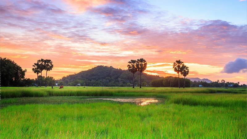 Tải ảnh phong cảnh làng quê đẹp cho máy tính 2