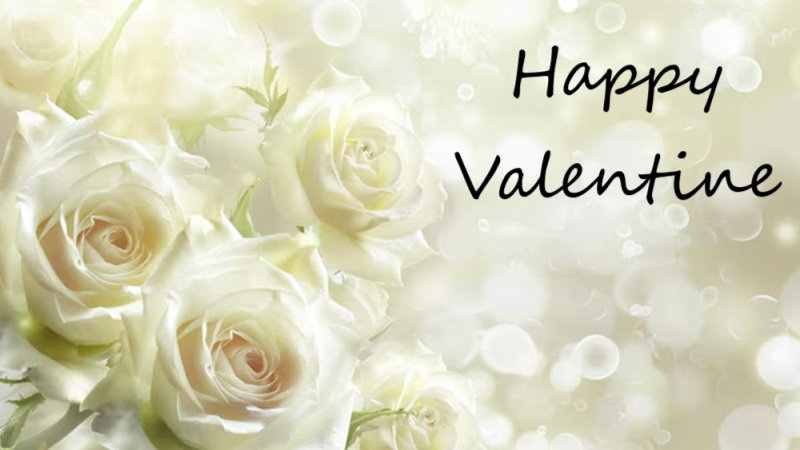 Hình ảnh hoa hồng - Tải ảnh Valentine đẹp nhất