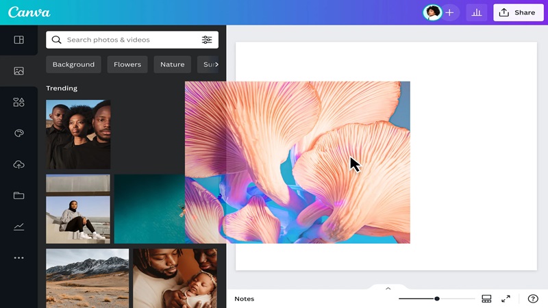 tai-canva-ve-may-tinh-7