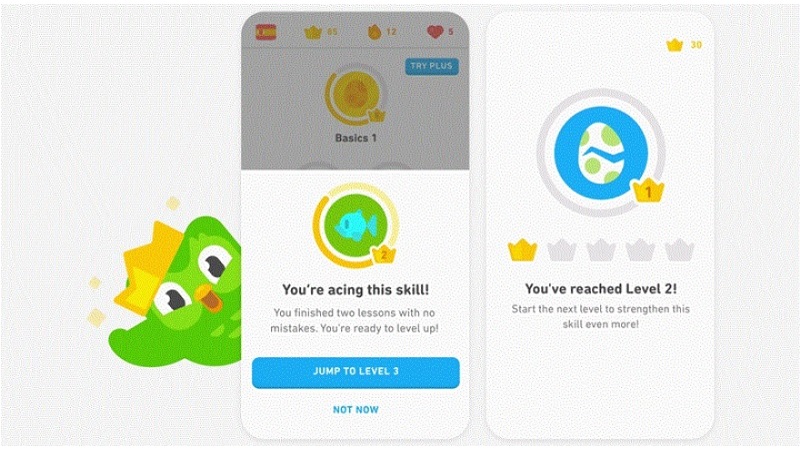 Cách tải Duolingo trên máy tính miễn phí với phiên bản mới nhất 2024